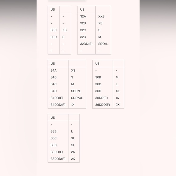 🍋 Tossed Daisy Corset For Love and Lemons - Picture 7 of 8